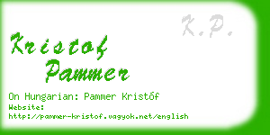 kristof pammer business card